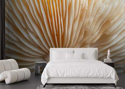 Close-up of a mushroomâs gills from underneath, emphasizing the radial lines and texture. Wall mural